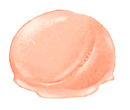 Pomegranate Sherbet